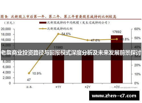 老詹商业投资路径与回报模式深度分析及未来发展前景探讨