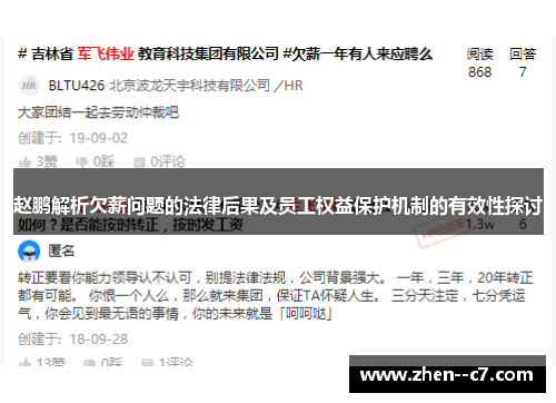 赵鹏解析欠薪问题的法律后果及员工权益保护机制的有效性探讨