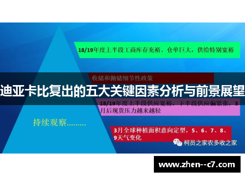 迪亚卡比复出的五大关键因素分析与前景展望