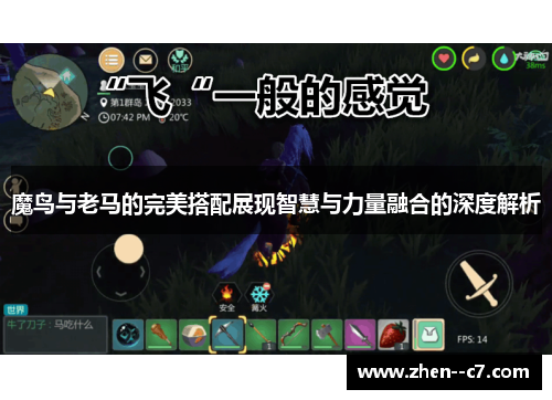 魔鸟与老马的完美搭配展现智慧与力量融合的深度解析