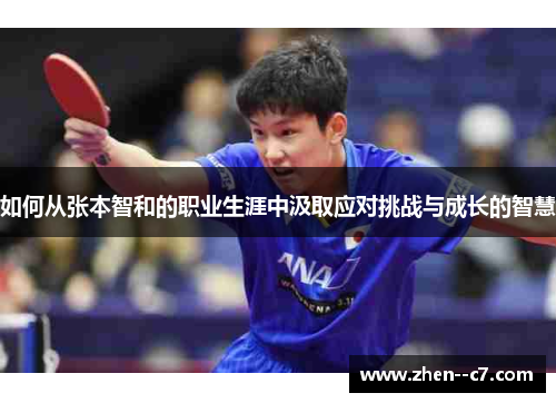 如何从张本智和的职业生涯中汲取应对挑战与成长的智慧