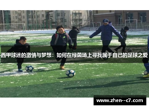 西甲球迷的激情与梦想：如何在绿茵场上寻找属于自己的足球之爱