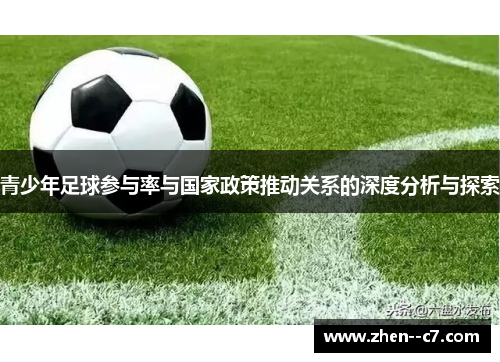 青少年足球参与率与国家政策推动关系的深度分析与探索